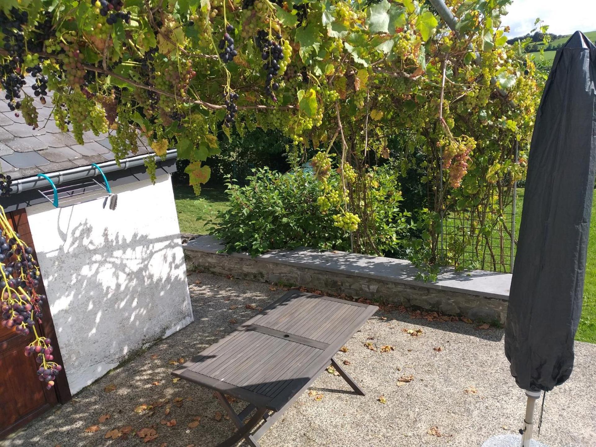 Villa Gite L'Ecole De Ma Mere Bertogne Exterior foto